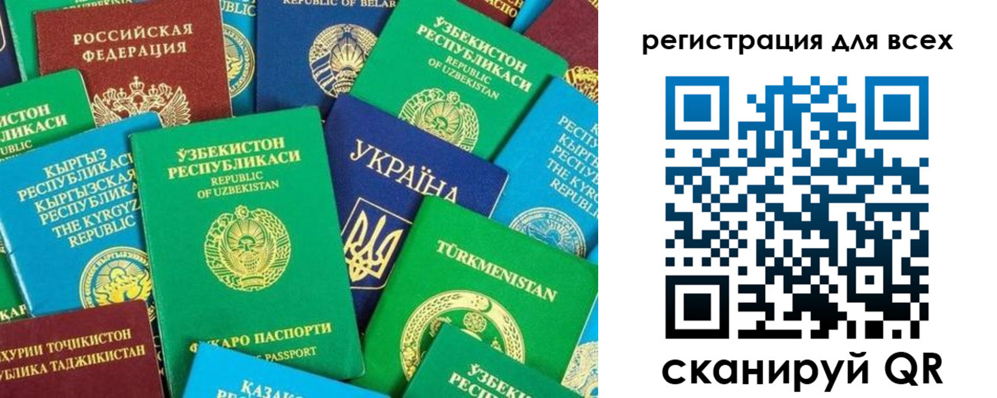 временная регистрация поиск в Лесном